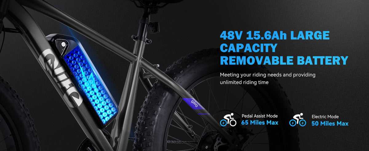 Qlife removable battery feature