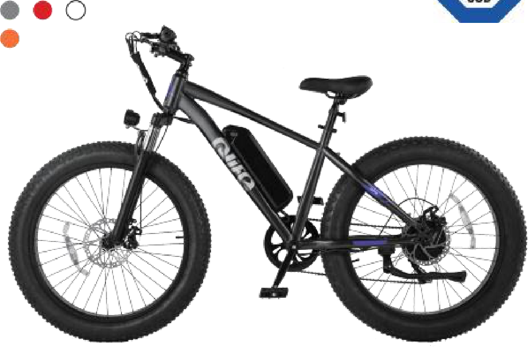 Qlife Racer Plus fat tire electric bike, side view